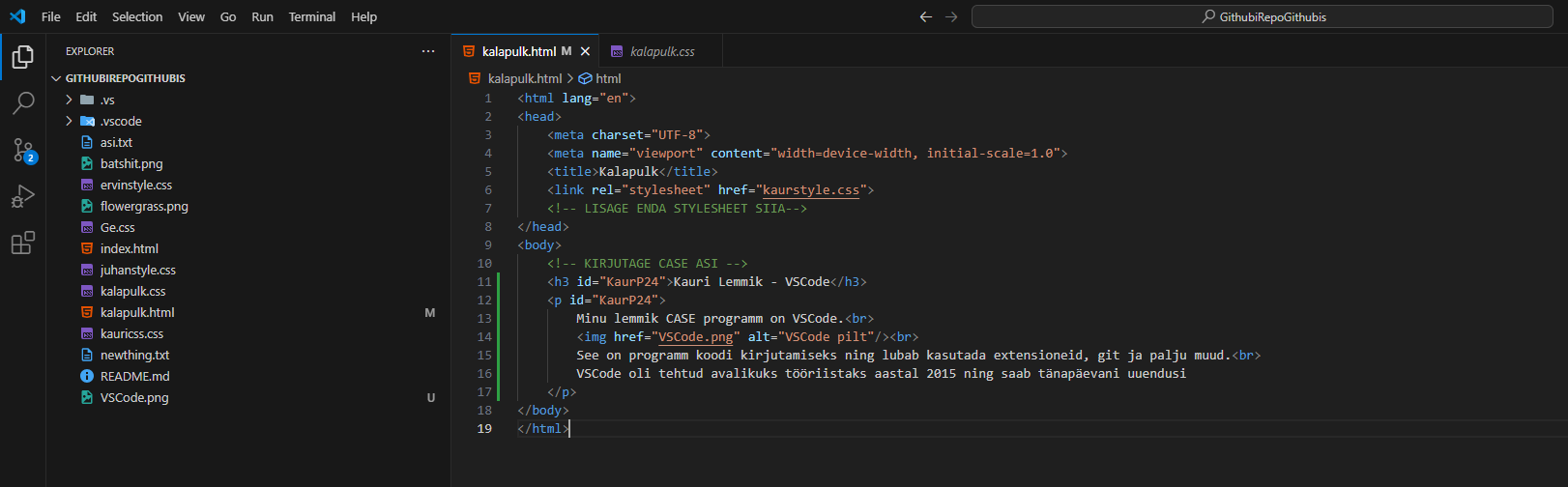 VSCode pilt 2